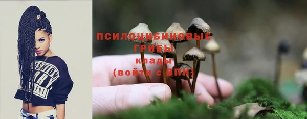 гидропоника Аркадак