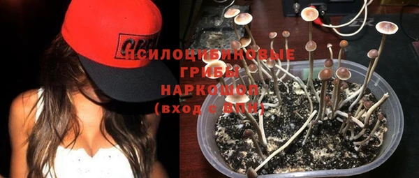 гидропоника Аркадак