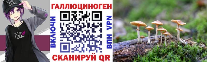 закладка  Струнино  Галлюциногенные грибы прущие грибы 